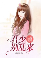 总裁债见:君少,别乱来