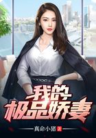 我的极品娇妻