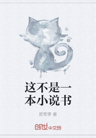 这不是一本小说书