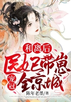 和離后，醫妃帶崽寵冠全京城在線閱讀
