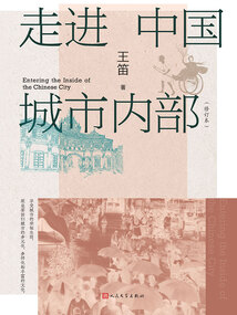 走進中國城市內(nèi)部（修訂本）