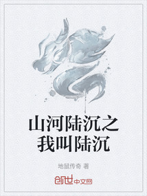 山河陸沉之我叫陸沉