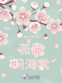 薇雨問海棠