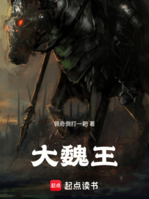 大魏王