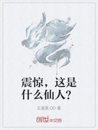 震惊,这是什么仙人?在线阅读