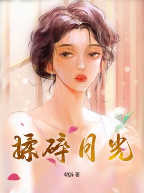 揉碎月光在线阅读