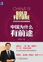 中国为什么有前途:对外经济关系的战略潜能(第2版)在线阅读