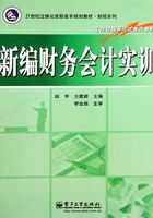 新编财务会计实训在线阅读