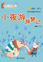 星期八心灵童话:小夜游游梦记在线阅读
