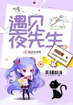 遇见夜先生在线阅读