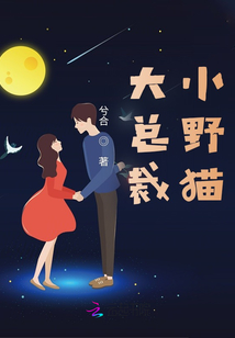 大總裁，小野貓