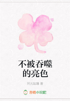 不被吞噬的亮色在線閱讀