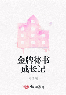 金牌秘書成長記