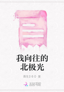 我向往的北極光