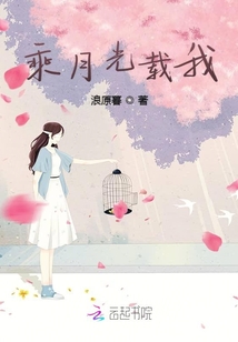 乘月光載我
