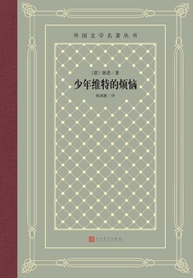 少年维特的烦恼