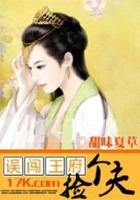 误闯妖孽疯王府