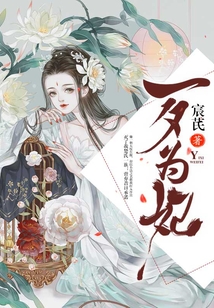 一夕为妃