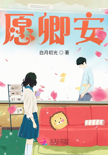 愿卿安