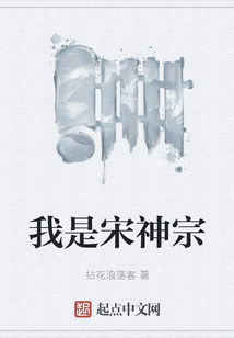我是宋神宗