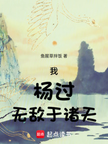 我，楊過，無敵于諸天