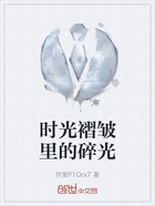 时光褶皱里的碎光在线阅读