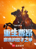 重生曹昂,哪来的世子之争在线阅读