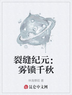 裂缝纪元:雾锁千秋在线阅读
