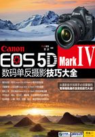 Canon EOS 5D Mark Ⅳ数码单反摄影技巧大全在线阅读