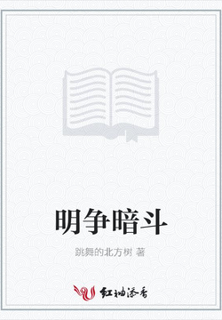 明争暗斗 封面