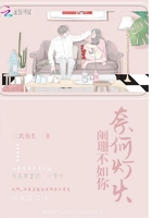 奈何燈火闌珊不如你在線閱讀