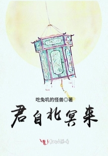 君自北冥來