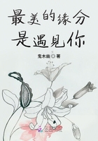最美的緣分是遇見你在線閱讀