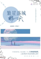 繁星落城那一天在線閱讀