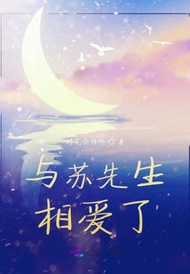 与苏先生相爱了