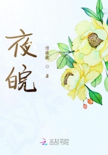夜皖