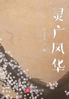 靈廣風華在線閱讀
