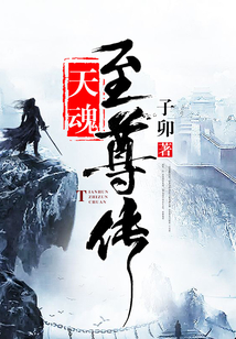 天魂至尊传 cover