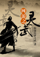 网游之灵武在线阅读