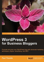 WordPress 3 For Business Bloggers