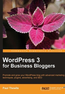 WordPress 3 For Business Bloggers