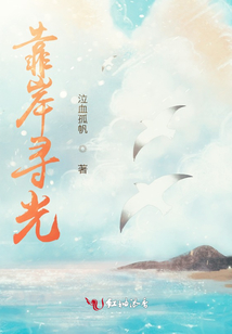 靠岸尋光