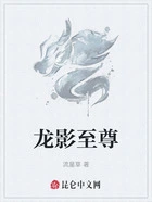 龙影至尊在线阅读