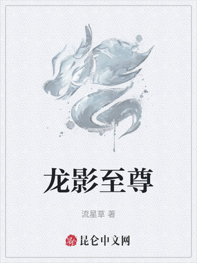 龙影至尊在线阅读