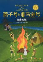 秘密水域(燕子号与亚马逊号)在线阅读