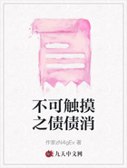 不可触摸之债债消在线阅读