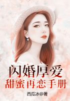 閃婚厚愛：甜蜜再戀手冊在線閱讀