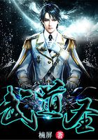 武道圣在线阅读