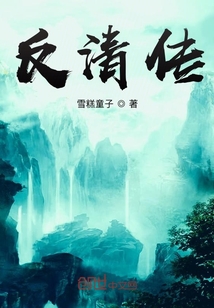 反清傳