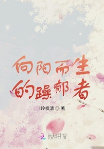 向陽而生的躁郁者